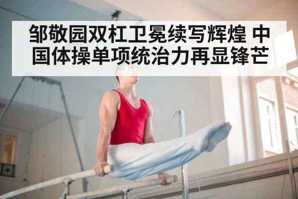 parallel bars gymnastics